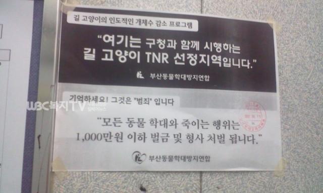 부산시 진구 양정현대아파트 엘리베이터에 붙여진 TNR홍보글