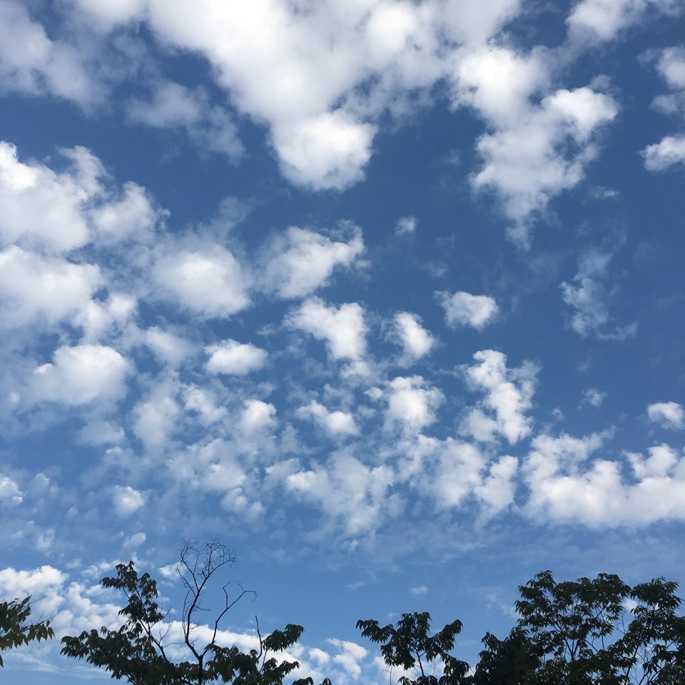 ▲ 이 사진은 9월 9일 태풍이 지나간 2일 뒤 부산 남구의 맑은 하늘의 모습이다.