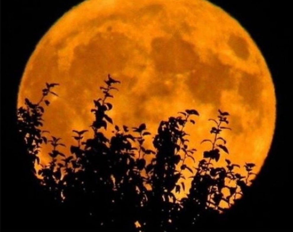 ▲ "오렌지 보름달", 일명 사냥꾼의 달(Full Hunter's Moon)