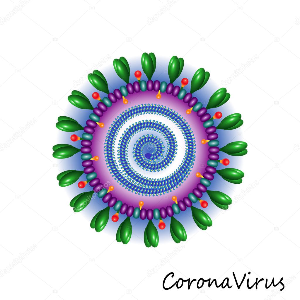 ▲ 코로나 바이러스의 모습