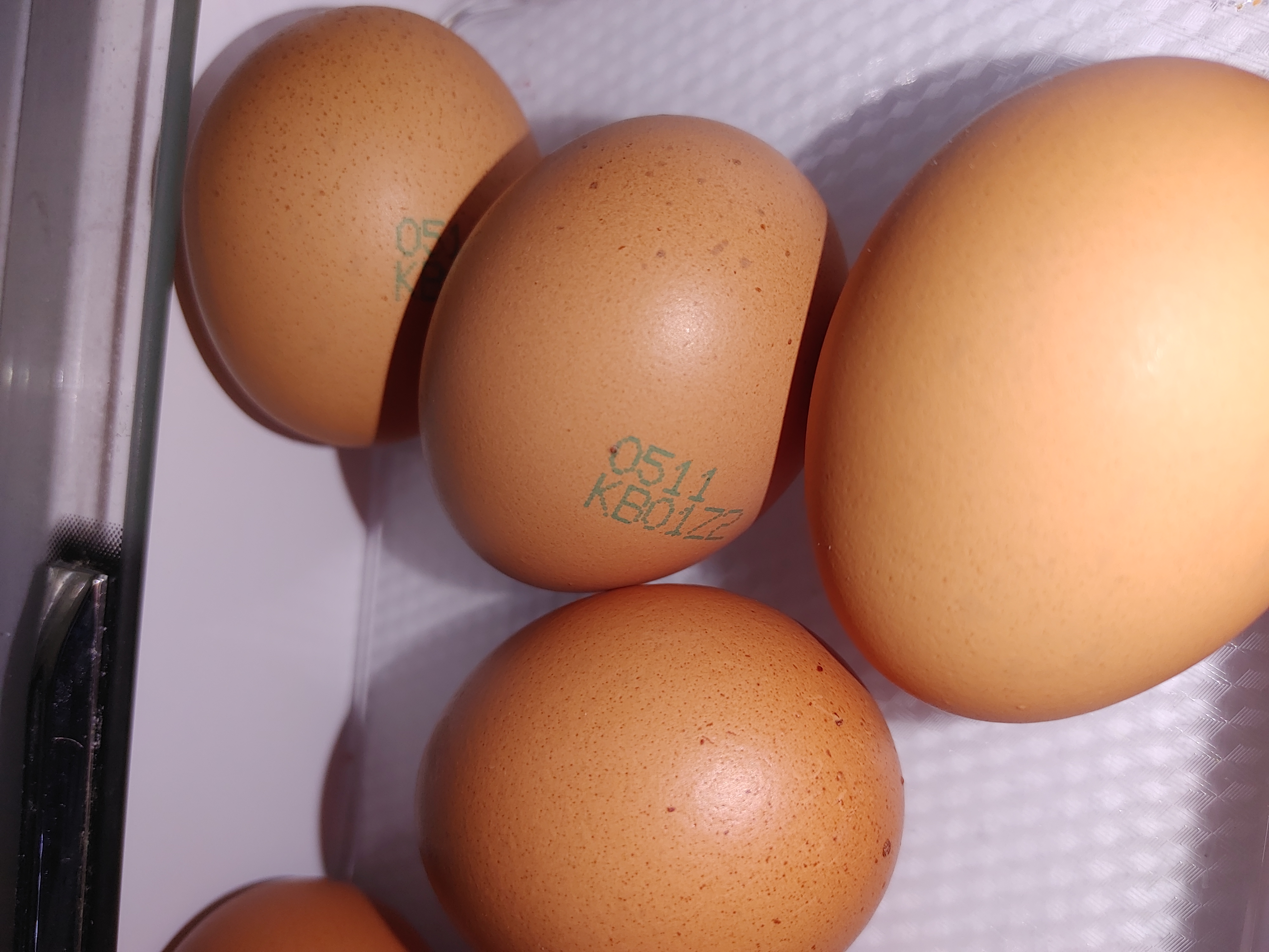 ▲ 달걀은 완전식품으로 성장기 학생들에게 필요한 단백질과 미네랄이 풍부하게 들어가 성장에 도움을 준다