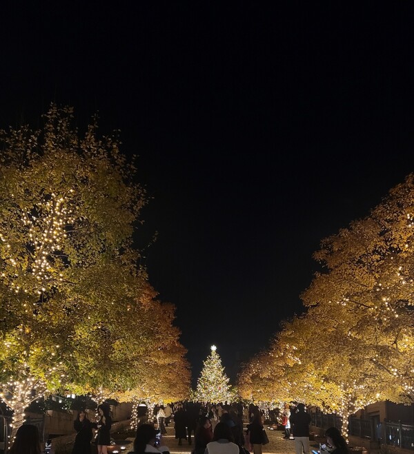 도쿄 에비스 가든 플레이스의 일루미네이션.