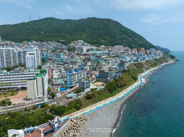 부산 영도 봉래산 순백의 꽃과 함께 영도의 매력을 만나다