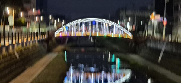 ⓒ윤태한 부산시의회 복지환경위원장