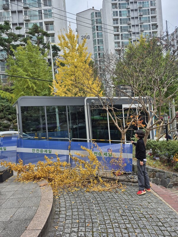 김효정 부산시의원이 시비 1억 원을 확보해 진행한 부산 만덕3주공 스마트버스정류장 현장을 점검하고 있다.