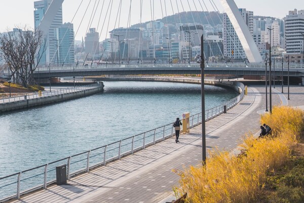 북항친수공원 전경