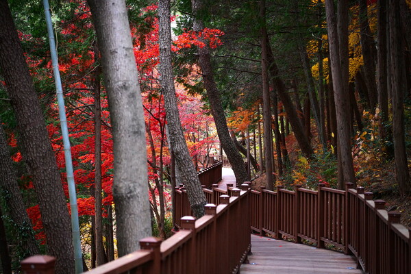 무장애’ 진양호 노을길