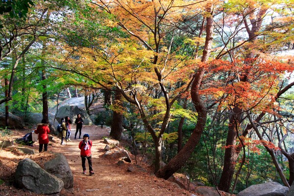 Ⓒ부산시설공단