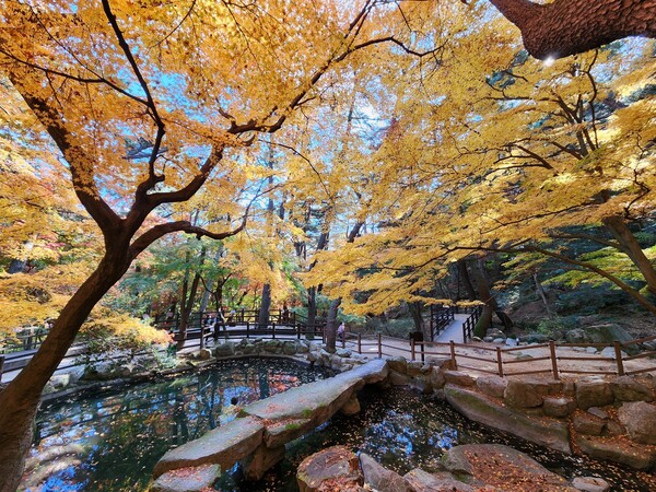 Ⓒ부산시설공단