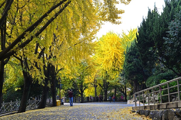 Ⓒ부산시설공단