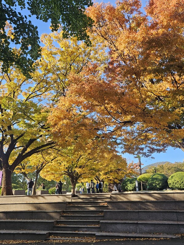 Ⓒ부산시설공단