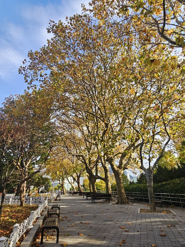 Ⓒ부산시설공단