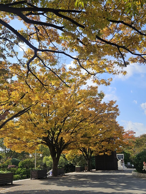 Ⓒ부산시설공단