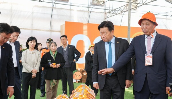 (다채로운 전시관,  제주감귤축제)