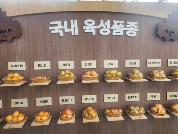 제주감귤박람회