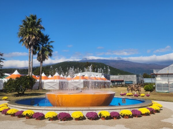 제주감귤박람회