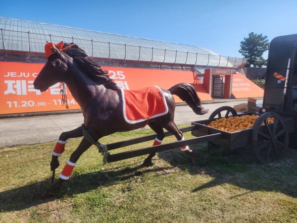 제주감귤박람회