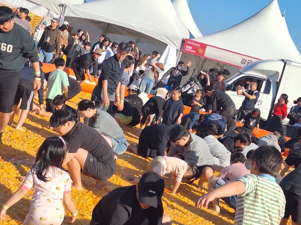 (감귤박람회 감귤왓)